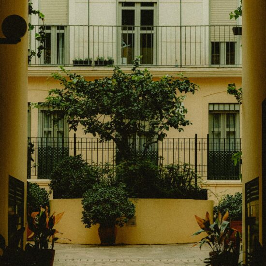 Image for:European Youth Forum Seminar: Reflections from Mollina, Spain by Ose Dettmann